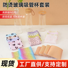 跨境高硼硅玻璃水杯带吸管竹盖防烫杯套高颜值ins风便携水杯现货