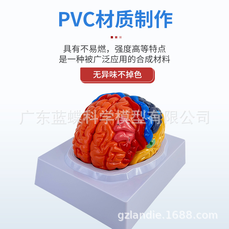 ��ģ�� �Թ�������ɫ��ģ�� ������Խ����Թ���ģ�� ��ɫ�� ���