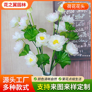 �S�����l����ˮ�彁������辰���Ô[�Ż�ˇ�ɻ��߷���