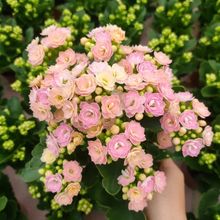 ˯ɏذLۻԻ̨҃^ֲɫ