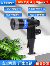 ����10kv��ʽ����^ZT-15/200�h�W����֧����|������T����|���^