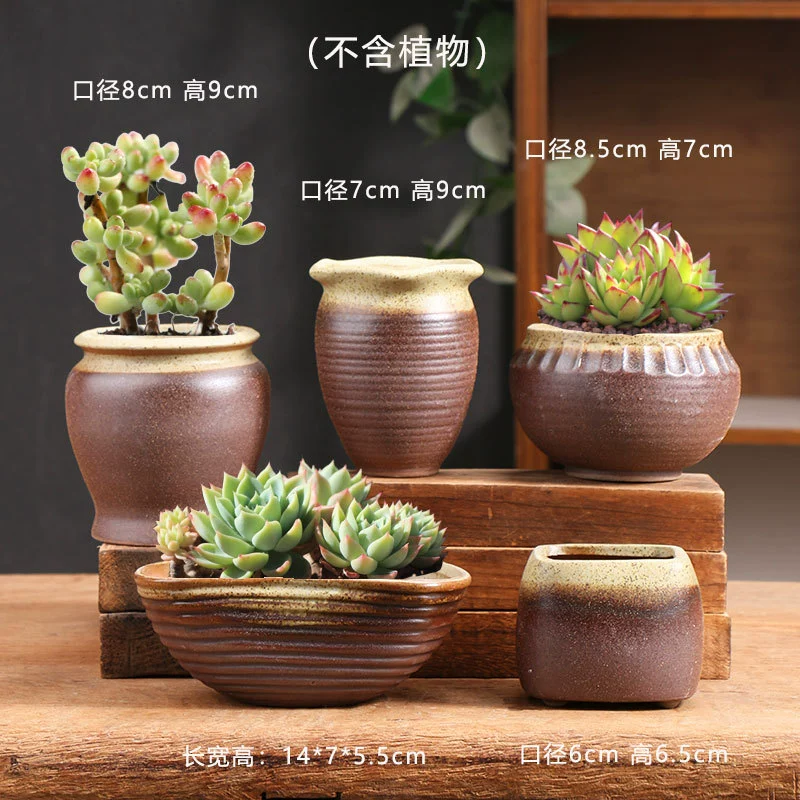 Creative Ceramic Flower Pot, Handmade Factory Direct, Assorted Decorative Designs, Small 7–10 cm