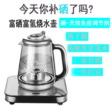 富氫燒水壺高濃度富硒富氫水壺富氫水壺可高溫加熱泡茶一件代發