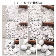 小白石子鹅卵石原石多肉铺面石园艺庭院铺路造景花盆白色外贸批发