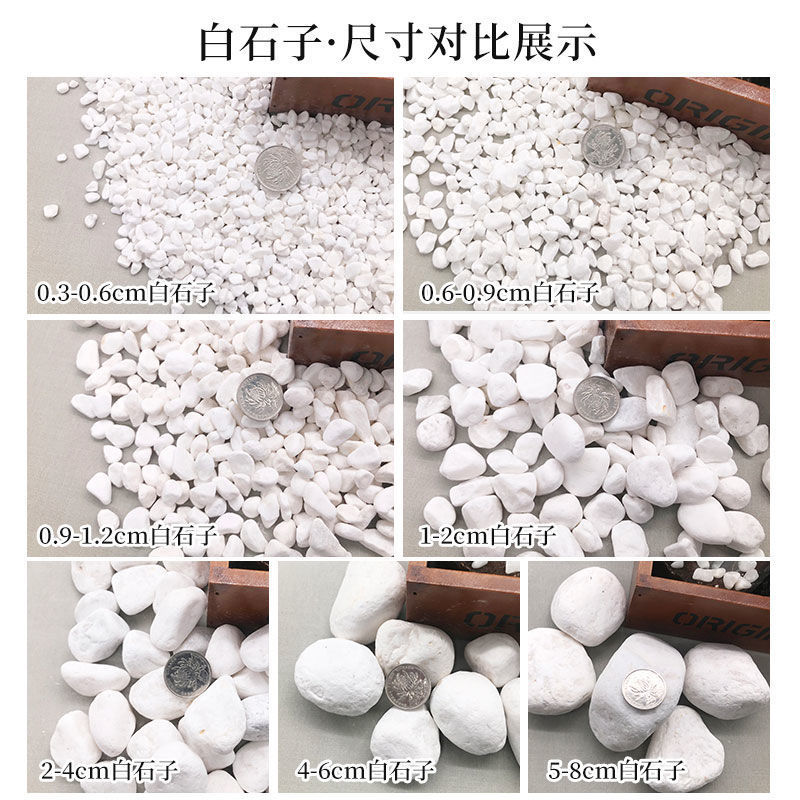 小白石子鹅卵石原石多肉铺面石园艺庭院铺路造景花盆白色外贸批发