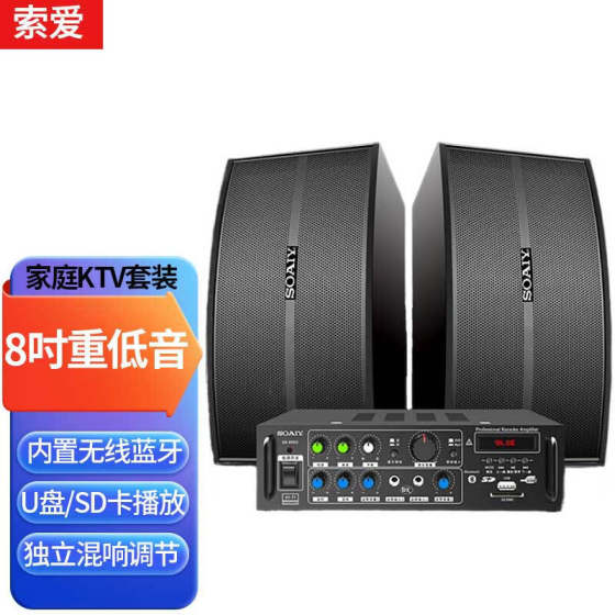 Sony Ericsson M66 Home Theater KTV Audio Home Business Conference Karaoke Living Room TV K Song High Volume