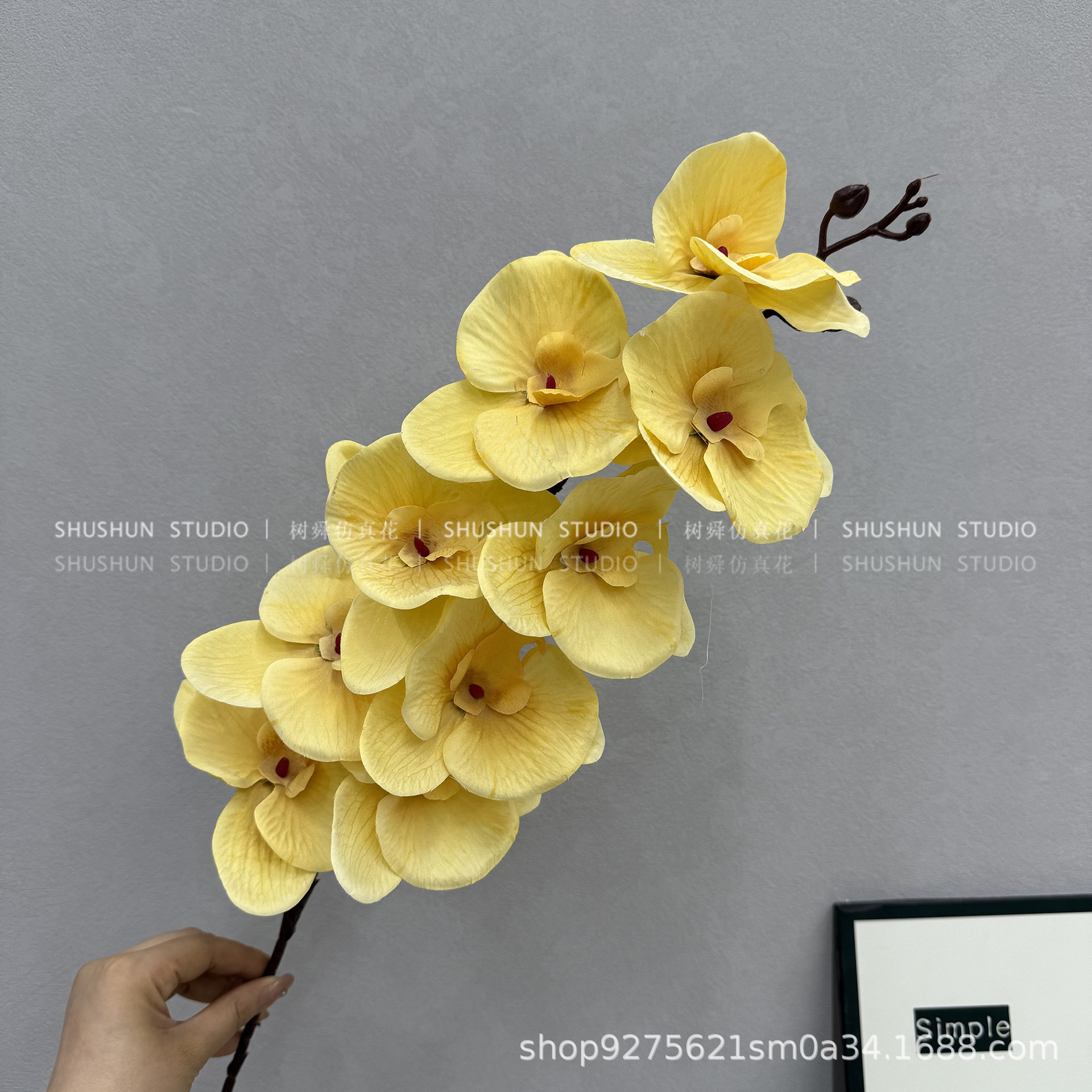 9 호접란(실크 스타일)