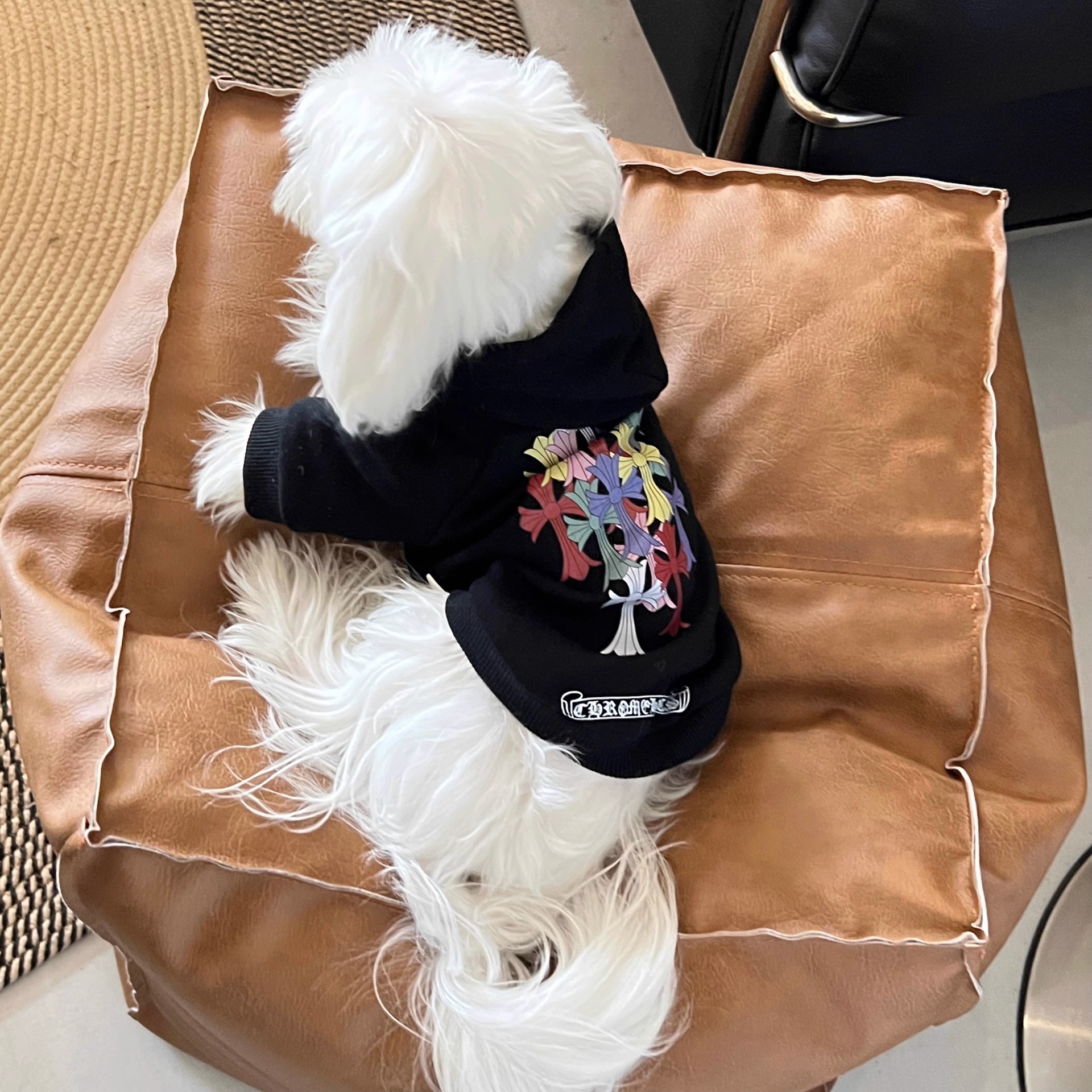 Sequin Denim Dog Jacket Image 1
