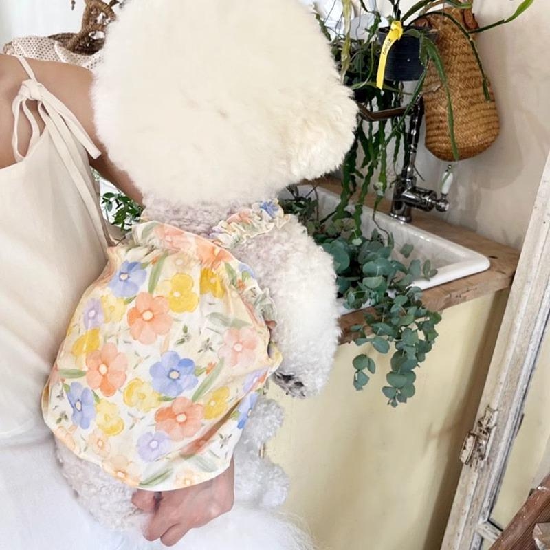 Ropa de perros de mascotas de verano delgada y refrescante vestido transpirable Teddy Bear cachorro Pomélago inns princesa viento
