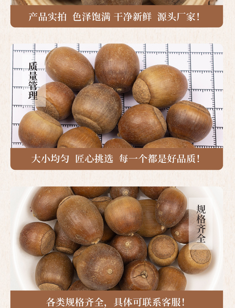 Dried Acorn Kernels Xiangzi Whole Form Natural Craft and Food Ingredient 500g specifications