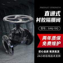 ֱͨʽ�r�z��Ĥ�y�r����ī�T�F�T�EG46J-10���{Ó��{�Ϸ����g�y