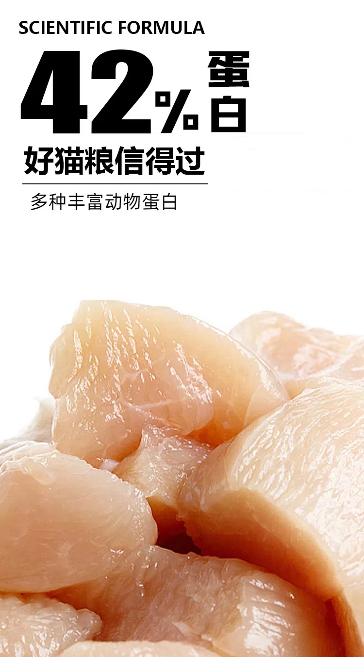 42蛋白猫粮 (8)