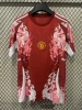 Manchester United Special Edition 22