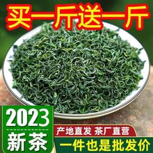 绿茶2023新茶叶高山云雾日照充足炒青绿茶散装