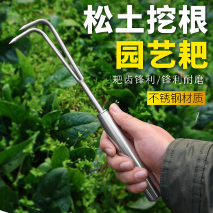Stainless Steel Small Rake with Integrated Welded Handle, Multi-Tooth Rake for Gardening, Multi-Claw Rake for Beachcombing, Garden Tool for Loosening Soil, Small Rake