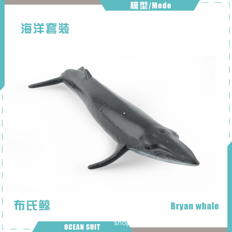 Ballena Brinell BL-5295 7g