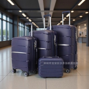 PP�������f��݆���������U��20��Y�������̄ճ�����Ů�W���ܴa��