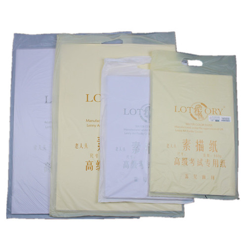 Old man's head Lotory4K8k sketch paper 160g all wood pulp drawing lead drawing paper 20 sheets/bag studio