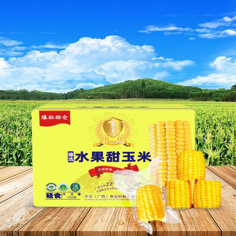 广西横县即食新鲜水果玉米独立包装桶装零食免煮整箱直供代餐学生|undefined