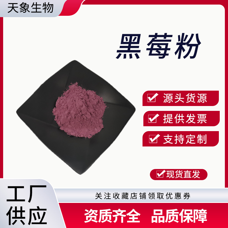 黑莓粉  黑莓冻干粉 水溶 浓缩黑莓果汁粉 喷雾干燥 量大优惠