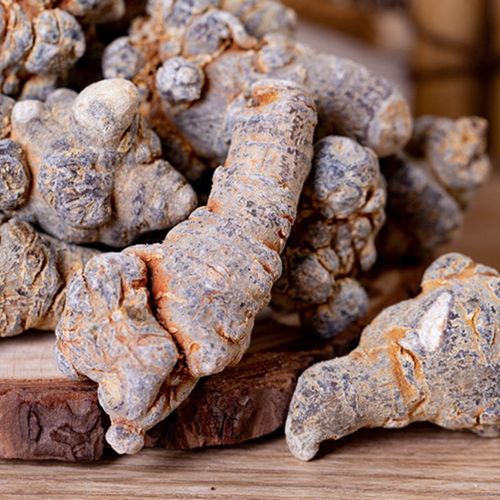 Yunnan Specialty Wenshan Tienchi Origin 20 Head Tienchi Fruit Tienchi Powder Traditional Chinese Medicine Wholesale