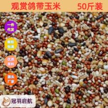 鸽子粮含玉米喂粮食营养饲料鸟食幼鸽信鸽赛鸽肉鸽成鸽包邮
