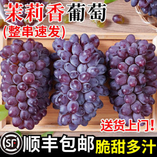 ��S������������я��Ց������rˮ���ЋD�o�����Ѿ�Ʒ��5����]