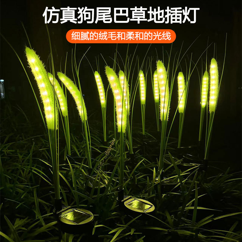 단일 머리 개 꼬리 잔디