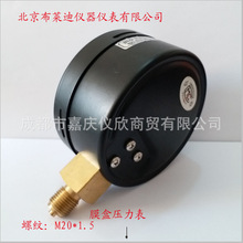 北京布萊迪膜盒壓力表YE100微壓表 螺紋:M20*1.5 徑向安裝