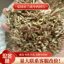 忍冬藤中草药500g大量批新货散装银花藤二花藤忍冬屯儿童泡澡