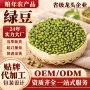 东北定制新鲜夏季绿豆