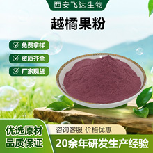 越橘粉越橘果粉水溶蔓越橘汁粉天然萃取食品级烘焙代餐粉饮料原料