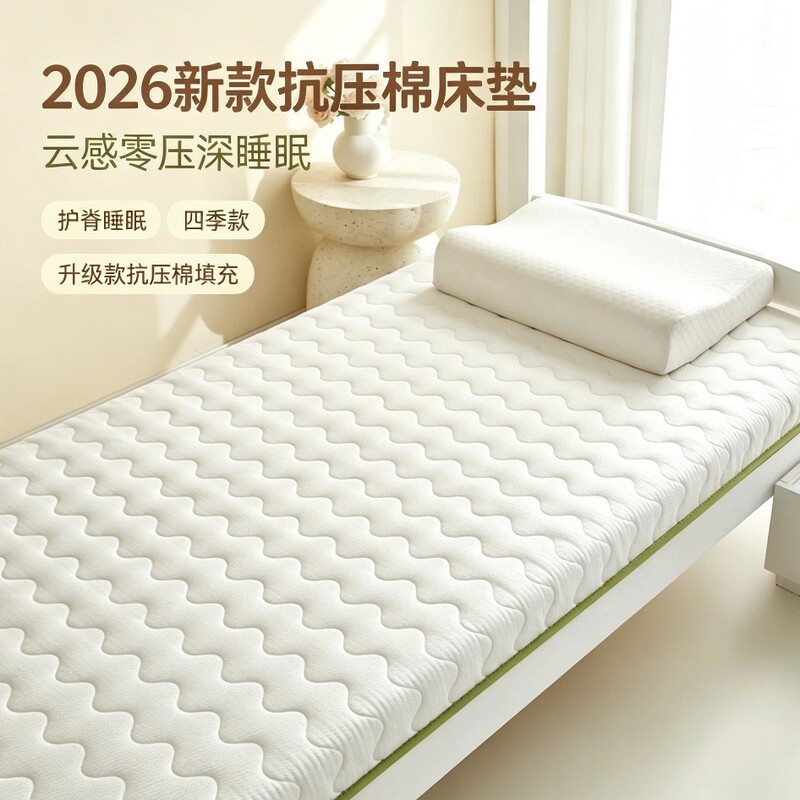 New anti-pressure cotton mattress for home use, spine-protecting soft pad, special for student dormitories, single-person, all-season thickened tatami mat