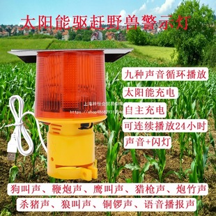 ������̫����F���W��������@��sҰ�iҹ�g���׵؇�Ұ�F