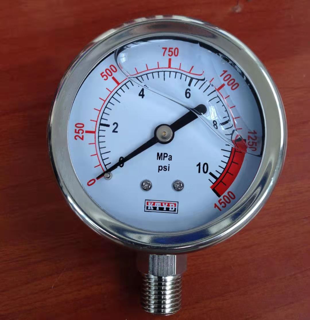 耐震压力表 用于电力石油化工轻工机械设备防腐压力表