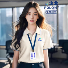 �ļ�����polo��������������ҵ��˾������������t������ӡlogo