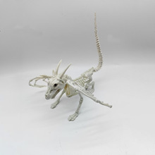 �S��ֱ�N�f�}���Ǽܸ�Ʒ�|�w�����t���Ǽܿ羳��̌����f�}���Ǽ�