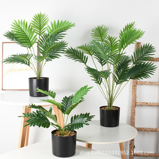 ����GֲɢС�����쾰β��18�~С�����҃��b��W�Ҿ��b[��