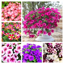 ����ţ���N���������Ȼ��N�Ӵ����׷N�׻�N�����ļ��N�_������