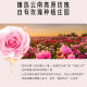 Lin Die Yunnan Rose Petal Mask Wash-free Sleep Mask 130ml Multi-bottle Cheap Factory Wholesale Price