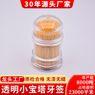 New Wholesale Toothpicks Household Disposable Double-Headed Toothpicks Piggy Creative Tube-Packed Transparent Bottled Toothpicks