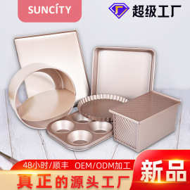 厂家DIY烘焙工具套餐烤箱家用蛋糕模具面包披萨盘不粘烤盘模具