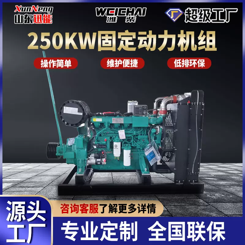 博创潍柴250KW固定动力发电机组工地学校备用电源柴油发电机组