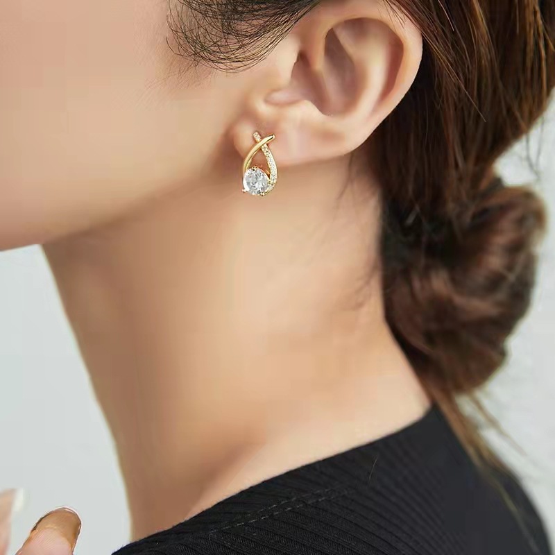 Korea's New Trendy Zircon Earrings Small Earrings display picture 4