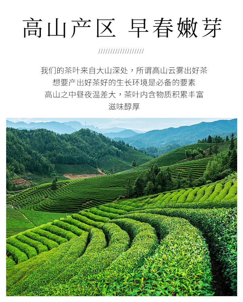 盛华茶叶 (5).jpg