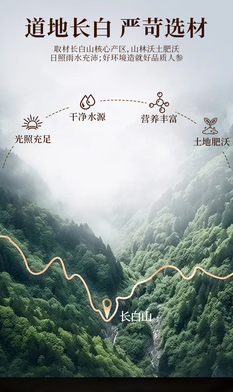 Fresh Ginseng Honey Slices 25g Ready to Eat Changbai Mountain Ren Shen Mi Pian overview