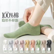 5�p�b�T���m��Ů��m�ļ�������[���m100%�ޜ\���[���m���l