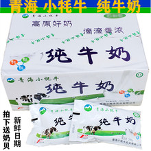小牦牛纯牛奶青海雪尔玛全脂灭菌乳软包200克/16袋儿童早餐奶清真