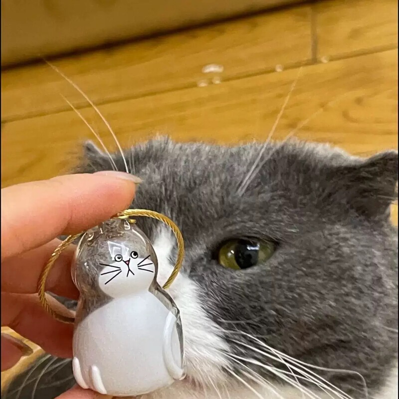 人気のキーホルダーペンダント、見栄えの良い猫の透明シェルファーボールペンダント、ペットの毛収納クリエイティブキーホルダー|undefined