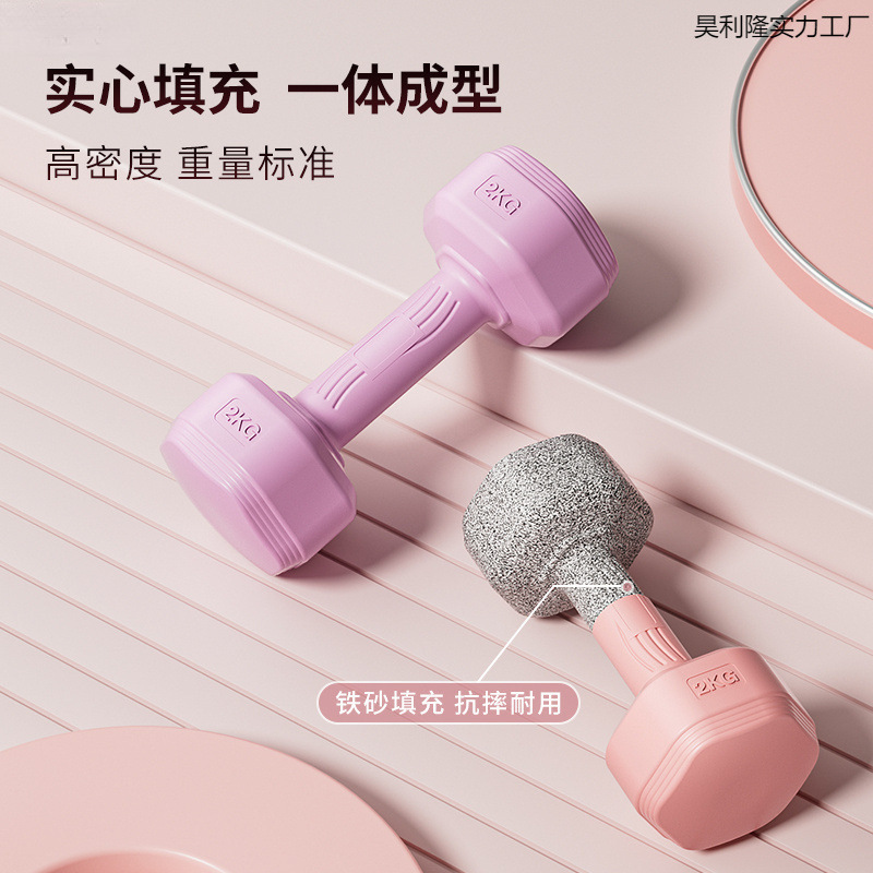 ? Dumbbell Women's Fitness Equipment Home Slim Belly Barbell Kettlebell Kidsren and Teenagers Female Small Dumbbells Pair